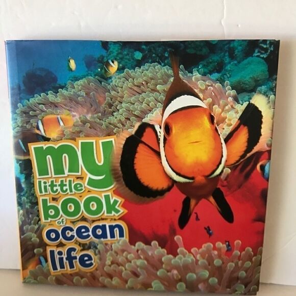 Kid’s My Ocean Book NEW - Picture 1 of 1